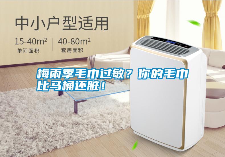 梅雨季毛巾過敏？你的毛巾比馬桶還臟！