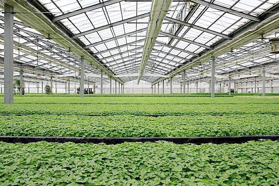 除濕器如何解決高濕度、多種危害的溫室除濕問題？
