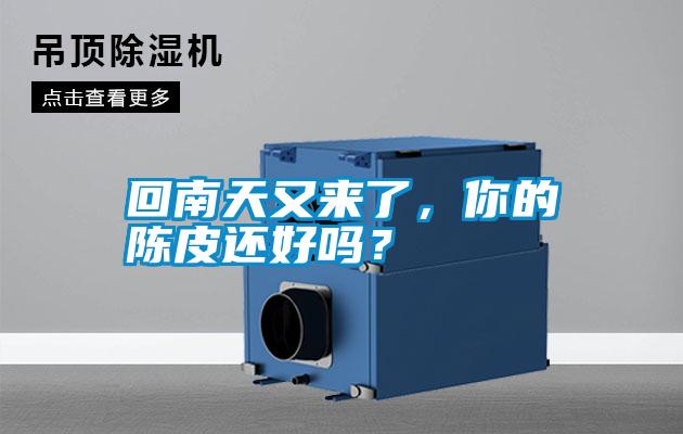 回南天又來了，你的陳皮還好嗎？