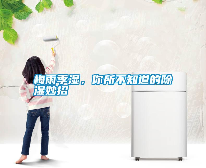 梅雨季濕，你所不知道的除濕妙招