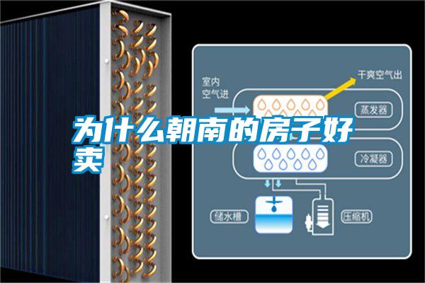 為什么朝南的房子好賣(mài)