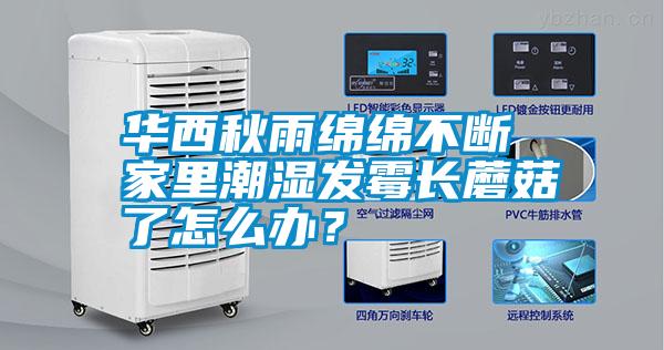 華西秋雨綿綿不斷 家里潮濕發(fā)霉長蘑菇了怎么辦？