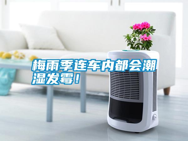 梅雨季連車內(nèi)都會潮濕發(fā)霉！