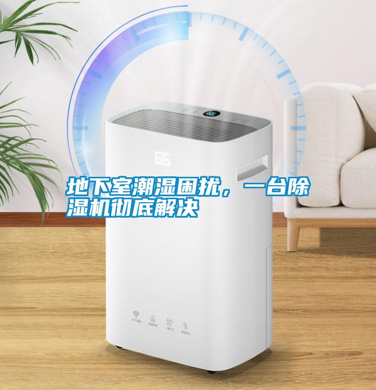 地下室潮濕困擾，一臺除濕機徹底解決