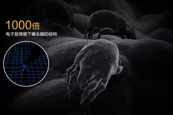 螨蟲高發(fā)季，家用除濕機除螨有妙計！