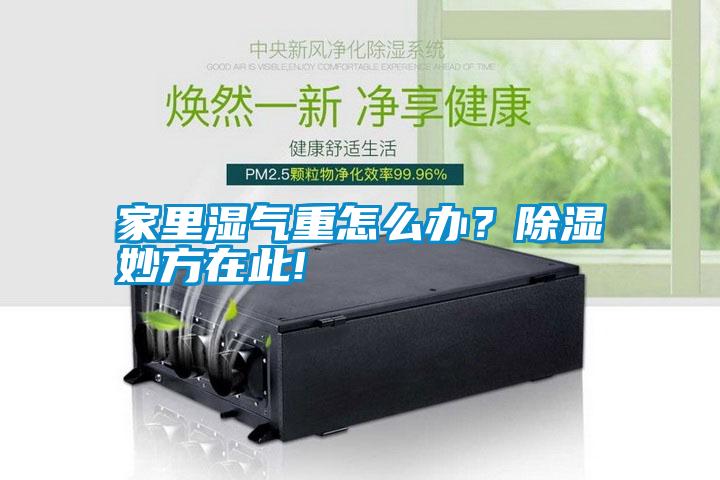 家里濕氣重怎么辦？除濕妙方在此!