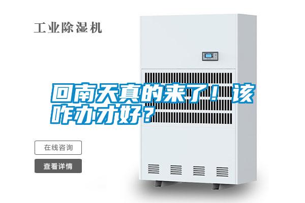 回南天真的來了！該咋辦才好？