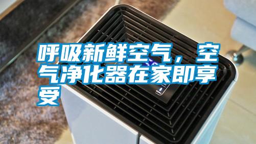 呼吸新鮮空氣，空氣凈化器在家即享受