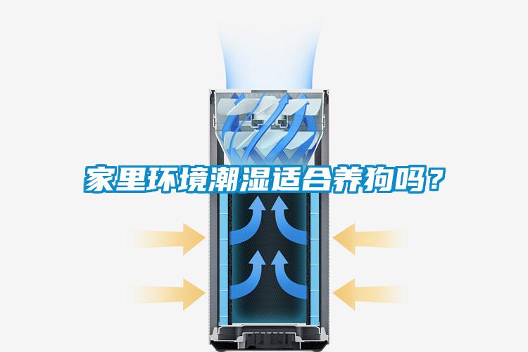 家里環(huán)境潮濕適合養(yǎng)狗嗎？