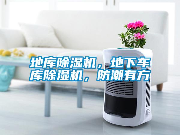 地庫(kù)除濕機(jī)，地下車(chē)庫(kù)除濕機(jī)，防潮有方