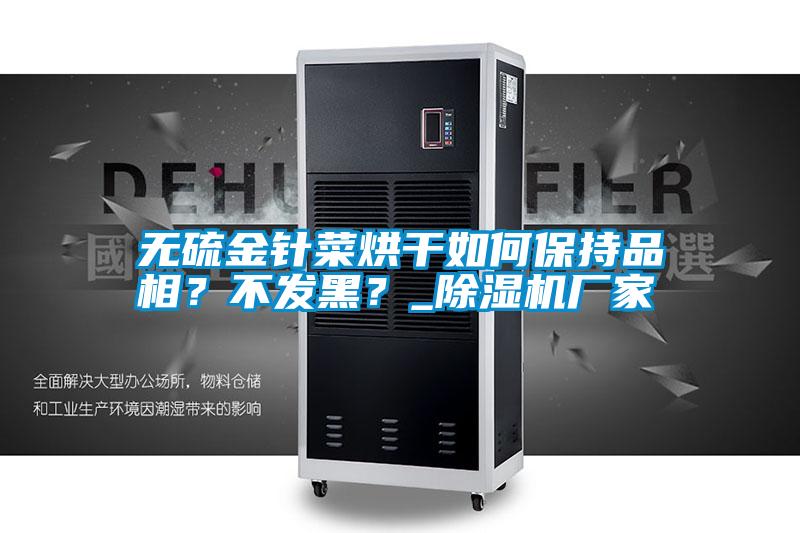 無硫金針菜烘干如何保持品相？不發(fā)黑？_除濕機廠家