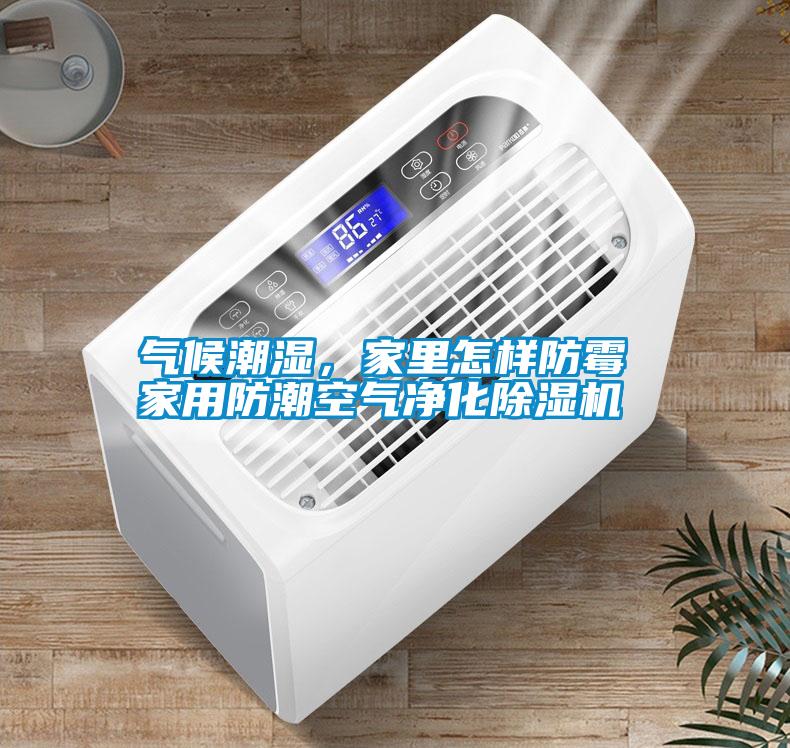 氣候潮濕，家里怎樣防霉 家用防潮空氣凈化除濕機(jī)