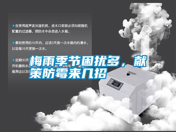 梅雨季節(jié)困擾多，獻(xiàn)策防霉來幾招
