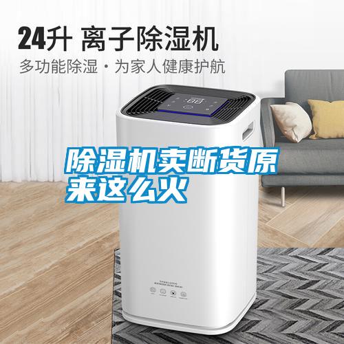除濕機(jī)賣(mài)斷貨原來(lái)這么火
