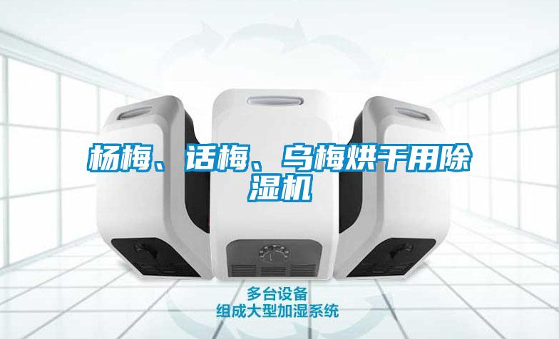 楊梅、話梅、烏梅烘干用除濕機(jī)