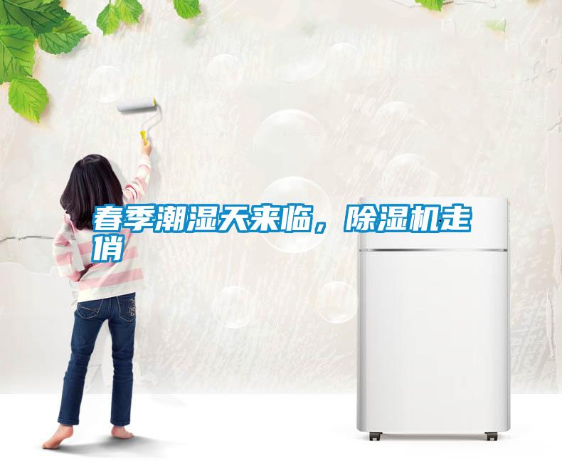 春季潮濕天來(lái)臨，除濕機(jī)走俏