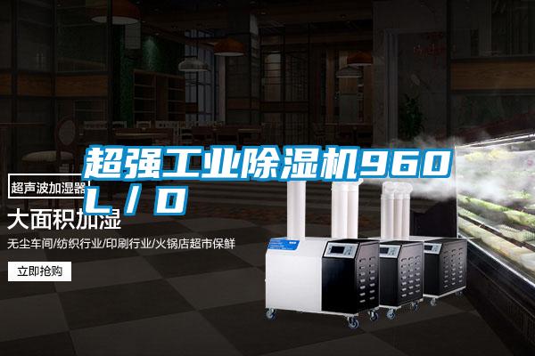 超強(qiáng)工業(yè)除濕機(jī)960L／D