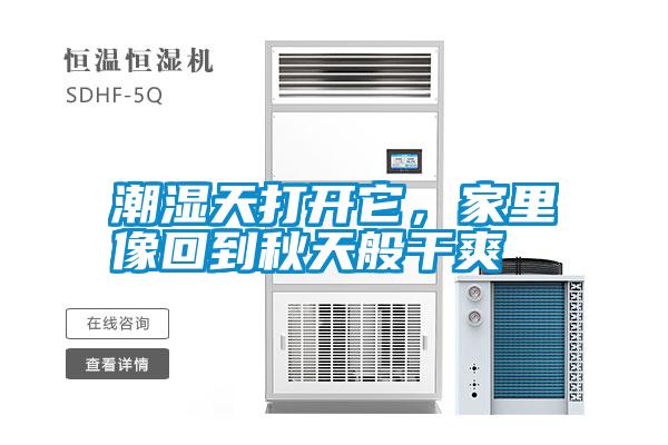 潮濕天打開它，家里像回到秋天般干爽