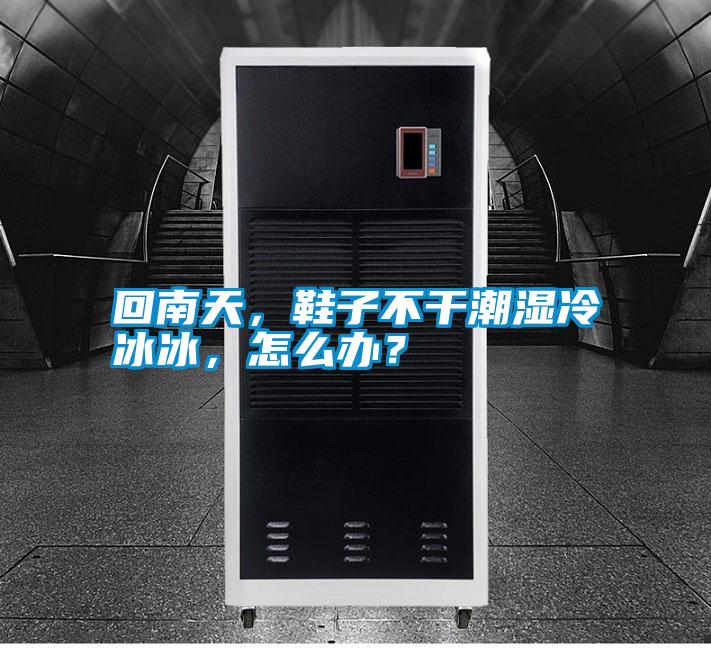 回南天，鞋子不干潮濕冷冰冰，怎么辦？