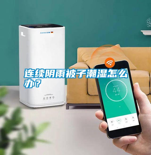 連續(xù)陰雨被子潮濕怎么辦？