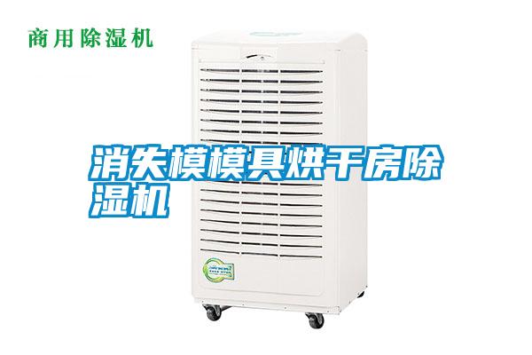 消失模模具烘干房除濕機(jī)