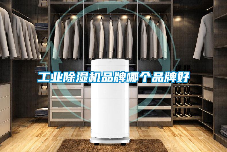 工業(yè)除濕機(jī)品牌哪個(gè)品牌好