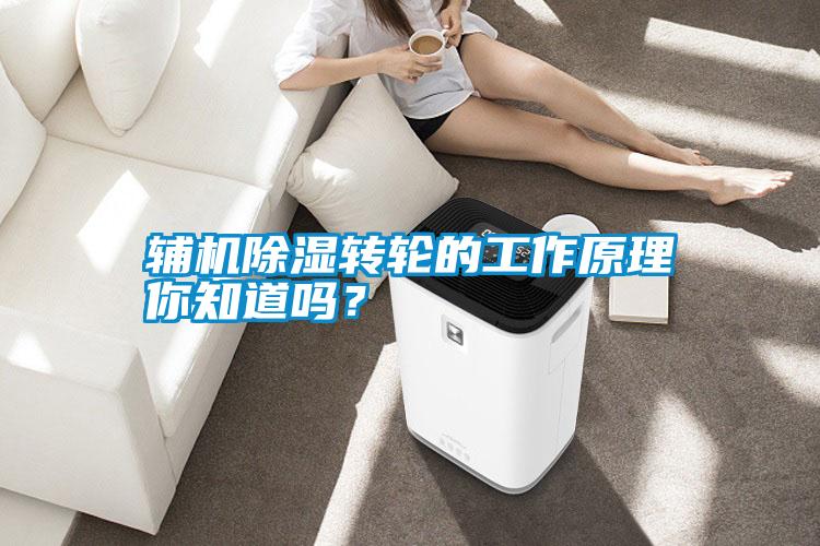 輔機(jī)除濕轉(zhuǎn)輪的工作原理你知道嗎？