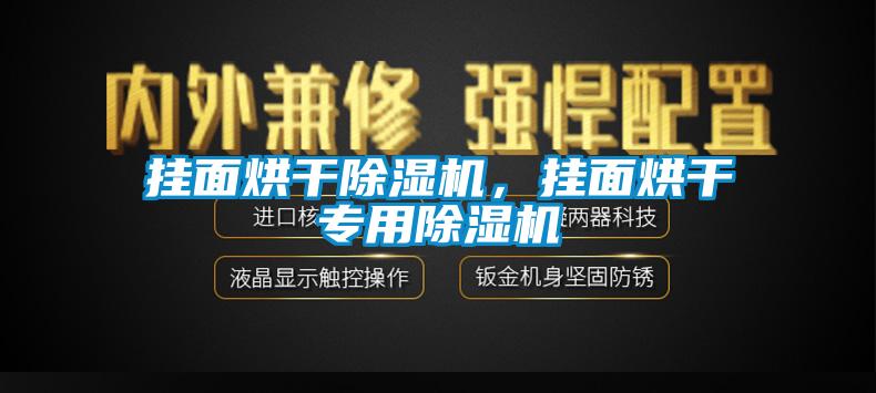 掛面烘干除濕機(jī)，掛面烘干專用除濕機(jī)