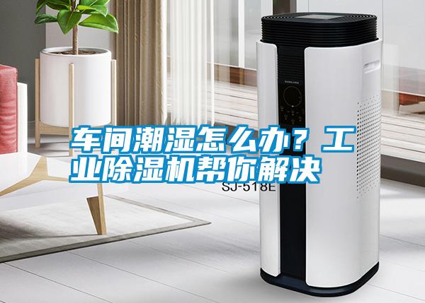 車間潮濕怎么辦？工業(yè)除濕機(jī)幫你解決