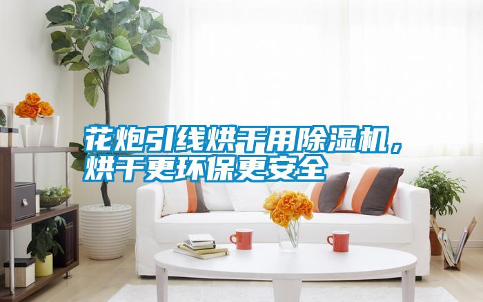 花炮引線烘干用除濕機(jī)，烘干更環(huán)保更安全