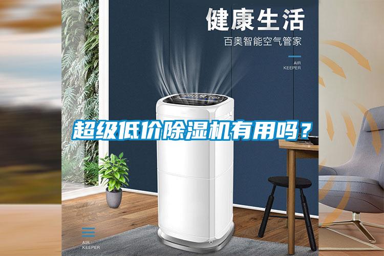 超級(jí)低價(jià)除濕機(jī)有用嗎？