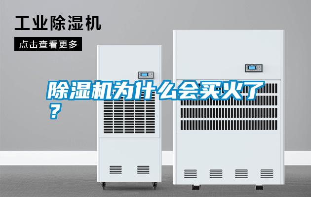除濕機為什么會買火了？