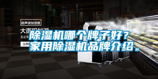 除濕機哪個牌子好？家用除濕機品牌介紹。