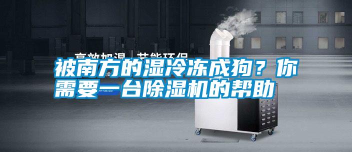 被南方的濕冷凍成狗？你需要一臺(tái)除濕機(jī)的幫助