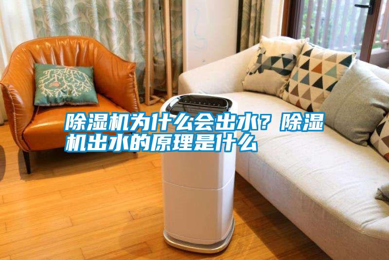 除濕機為什么會出水？除濕機出水的原理是什么