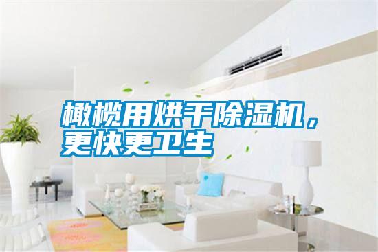 橄欖用烘干除濕機(jī)，更快更衛(wèi)生