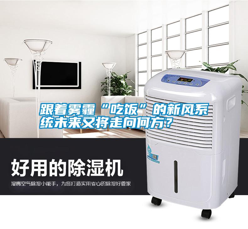 跟著霧霾“吃飯”的新風(fēng)系統(tǒng)未來(lái)又將走向何方？