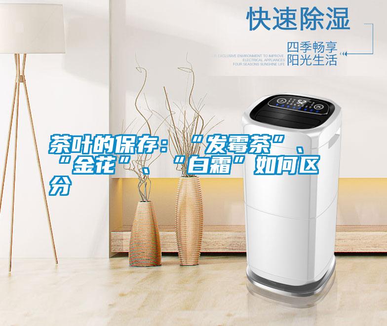 茶葉的保存：“發(fā)霉茶”、“金花”、“白霜”如何區(qū)分