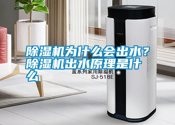 除濕機為什么會出水？除濕機出水原理是什么