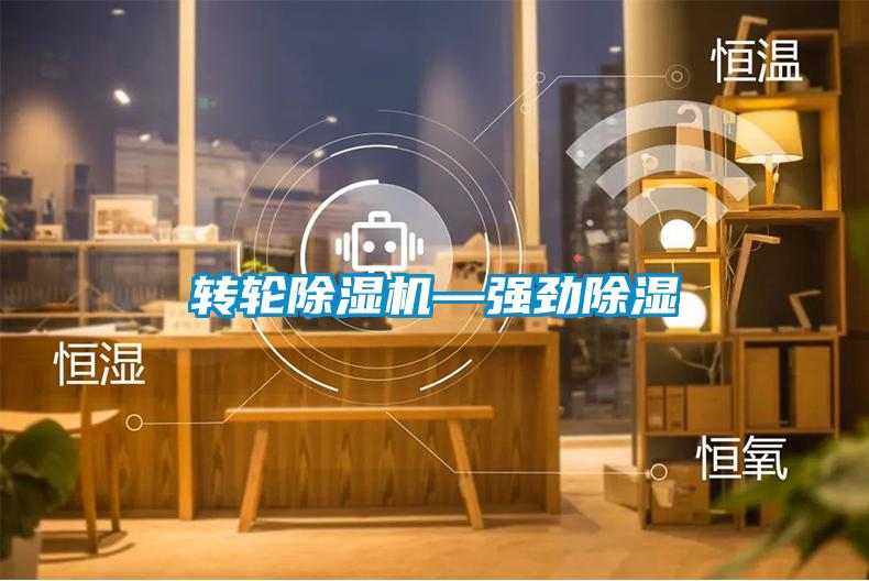 轉(zhuǎn)輪除濕機—強勁除濕