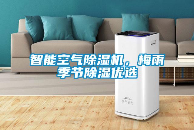 智能空氣除濕機(jī)，梅雨季節(jié)除濕優(yōu)選