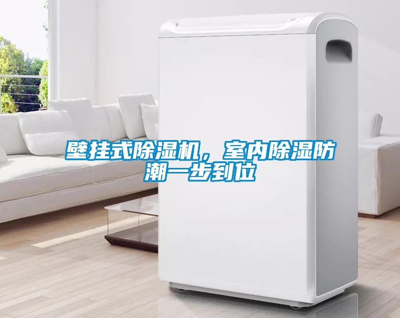 壁掛式除濕機，室內除濕防潮一步到位