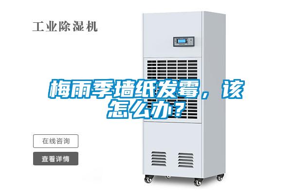 梅雨季墻紙發(fā)霉，該怎么辦？