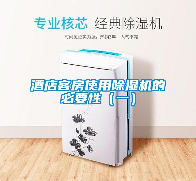 酒店客房使用除濕機(jī)的必要性（一）