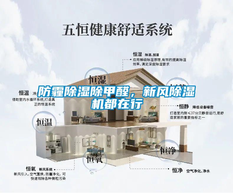 防霾除濕除甲醛，新風(fēng)除濕機(jī)都在行