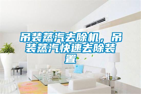 吊裝蒸汽去除機(jī)，吊裝蒸汽快速去除裝置
