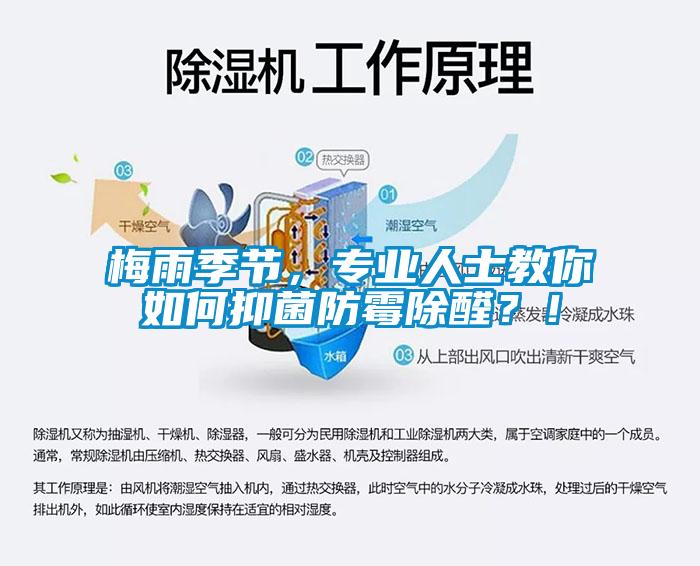 梅雨季節(jié)，專業(yè)人士教你如何抑菌防霉除醛？！