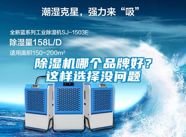 除濕機(jī)哪個(gè)品牌好？這樣選擇沒問題
