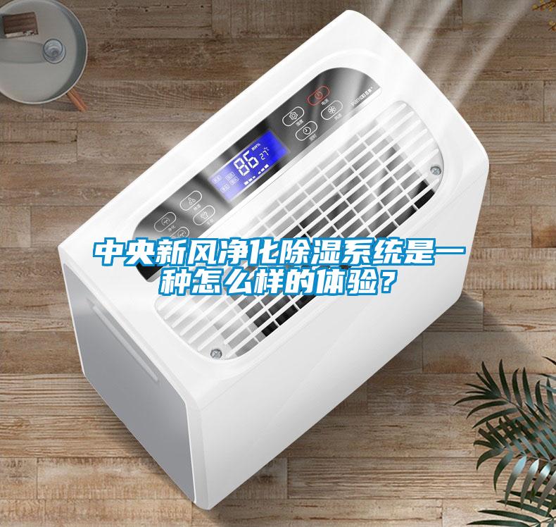 中央新風凈化除濕系統(tǒng)是一種怎么樣的體驗？