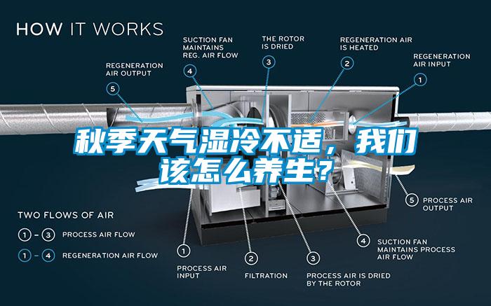 秋季天氣濕冷不適，我們該怎么養(yǎng)生？